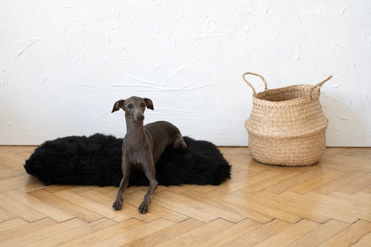 Square or Rectangular Natural Sheepskin Pet Mat - Black-1