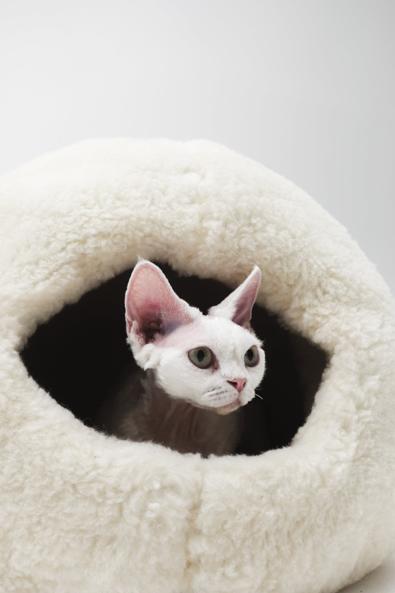 Nest Natural Woolen Pet Bed - White-1
