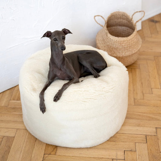 Oval Natural Wool Pet Bed - White-0