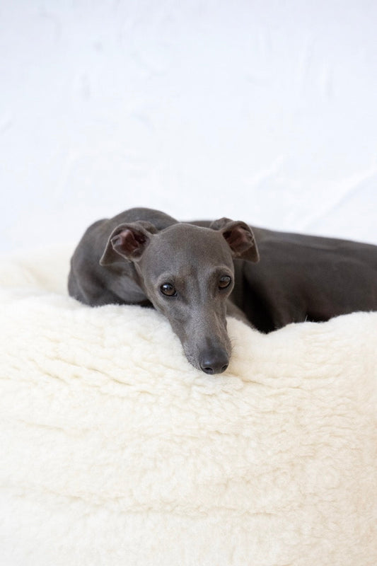 Oval Natural Wool Pet Bed - White-1