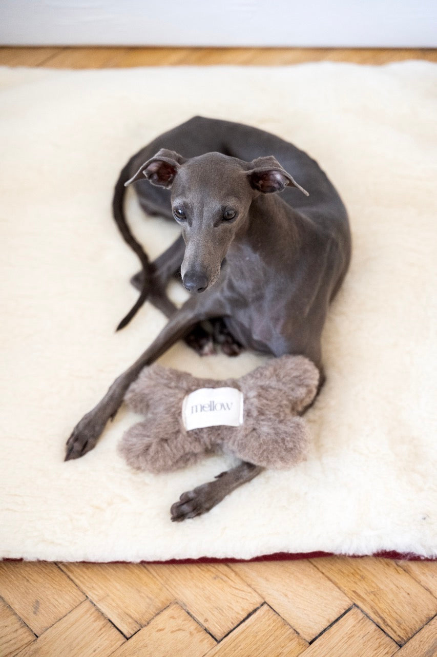 Natural Woolen Dog Toy - Bone - Beige-1